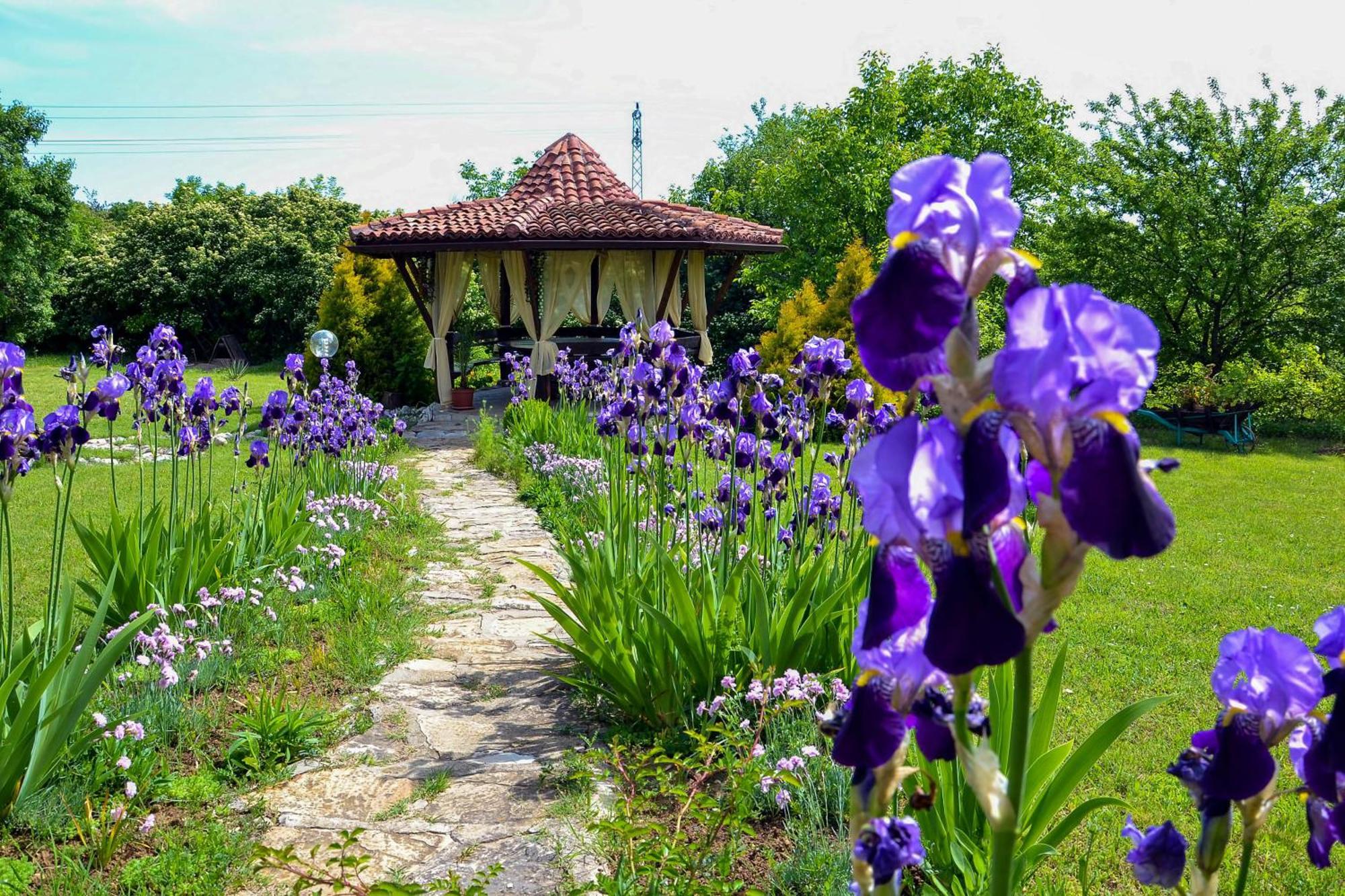 Park Hotel Djevana Gorna Orjachovica Exteriér fotografie